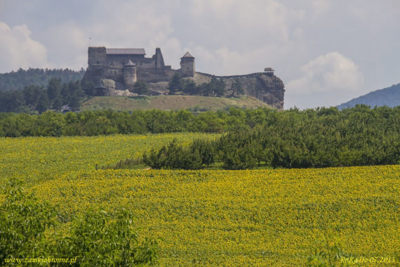 Zamek Boldogkő