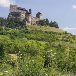 Zamek Boldogkő