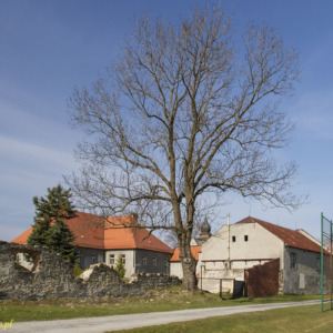 Zamek Černá Voda