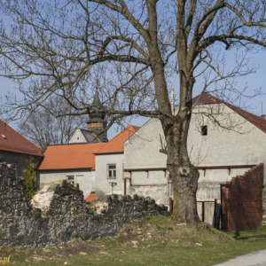 Zamek Černá Voda