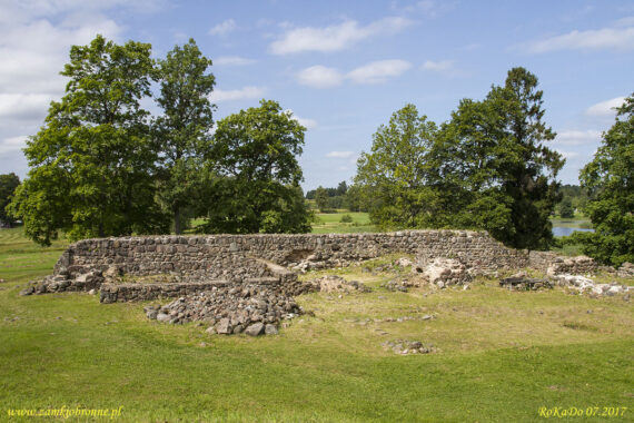 Ruiny zamku Ārai&scaron;i