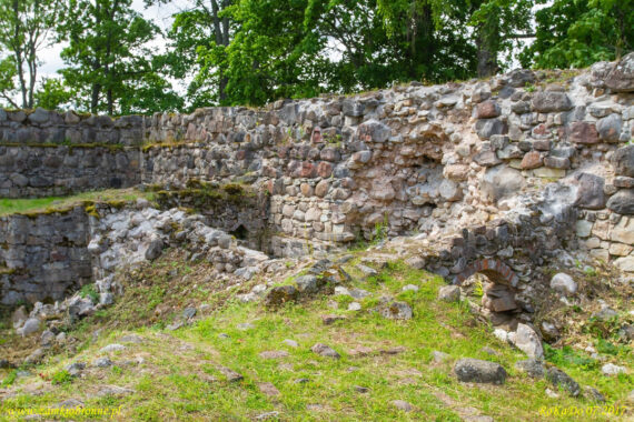 Ruiny zamku Ārai&scaron;i