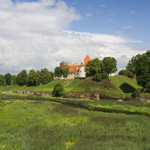 Zamek w Bausce