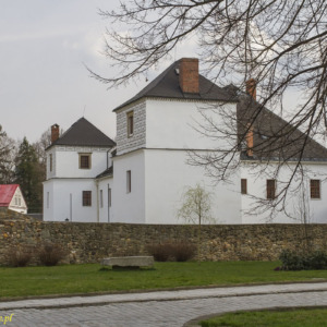 Zamek w Vidnavie