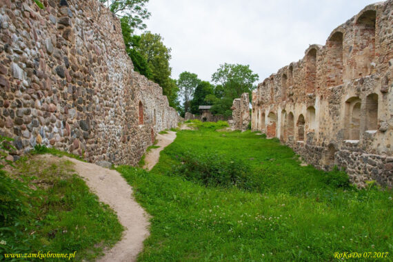 Zamek w Dobele podzamcze