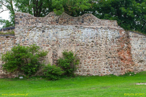 Zamek w Dobele podzamcze