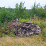 Ruiny zamku Vecdole