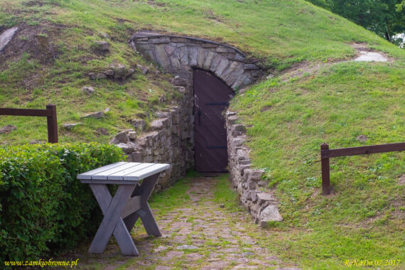 Zamek Gołdynga w Kuldiga