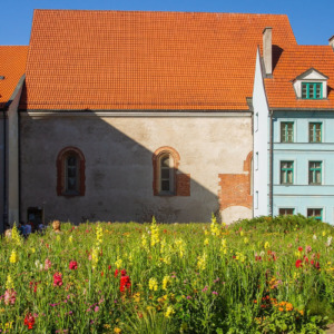 Ryga Biały Zamek