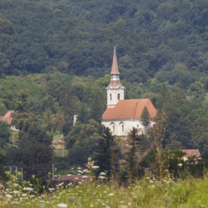 Kościół obronny w Criț