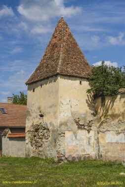 Kości&oacute;ł obronny w Dacia