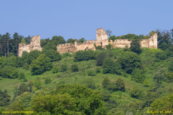 Chłopski zamek w Saschiz