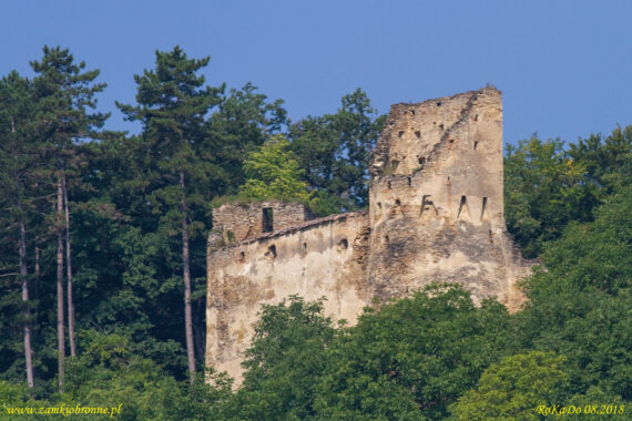 Chłopski zamek w Saschiz