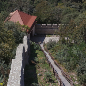 Zamek Deva