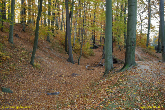 Wzgórze zamkowe w Jeleniej Górze