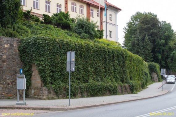 Miejskie mury obronne Krosna fragment muru zewnętrznego