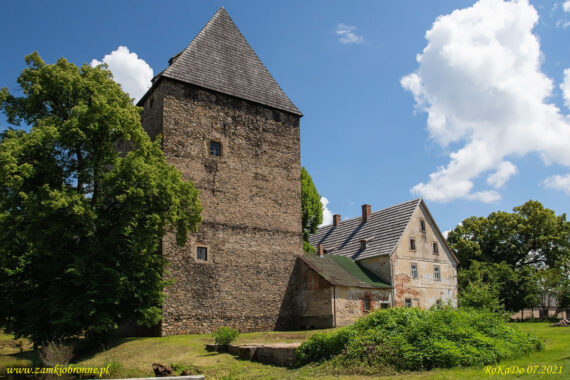 Książęca wieża w Siedlęcinie