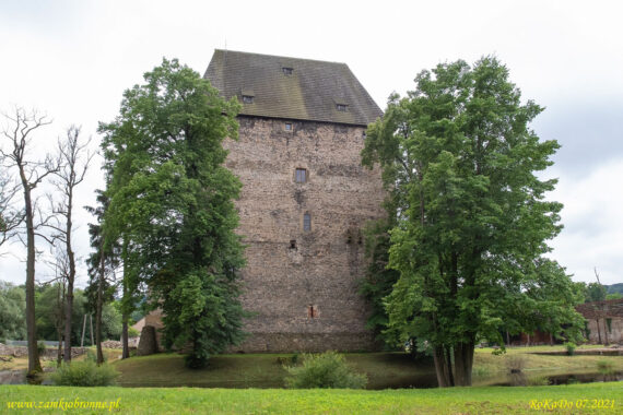Książęca wieża w Siedlęcinie