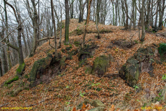 Ruiny zamku Wielisławka