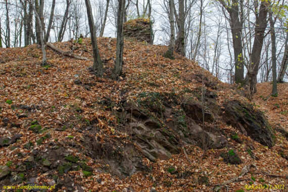 Ruiny zamku Wielisławka