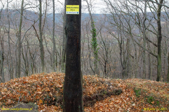 Ruiny zamku Wielisławka