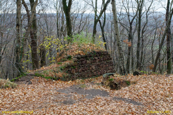 Ruiny zamku Wielisławka