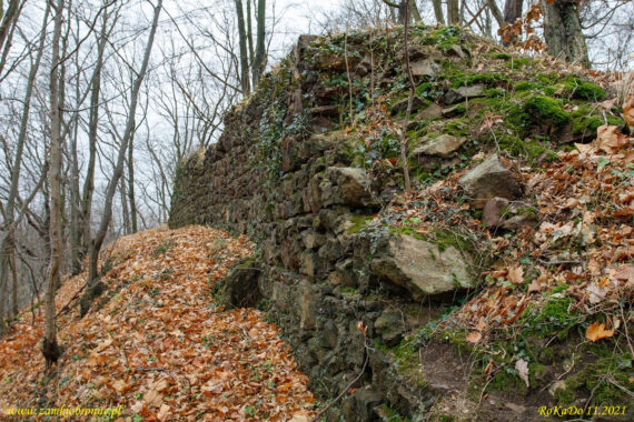 Ruiny zamku Wielisławka