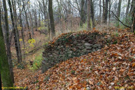 Ruiny zamku Wielisławka