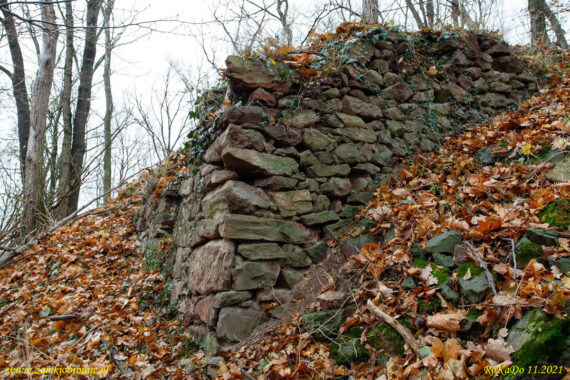 Ruiny zamku Wielisławka