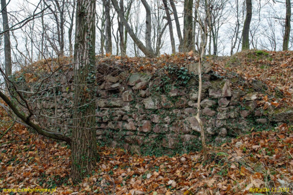 Ruiny zamku Wielisławka