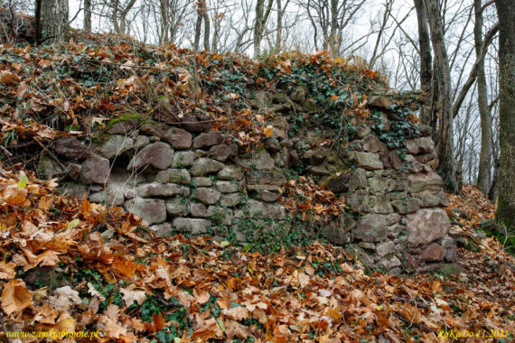 Ruiny zamku Wielisławka