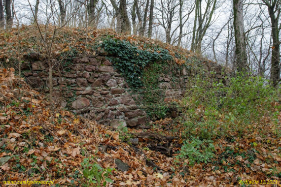 Ruiny zamku Wielisławka