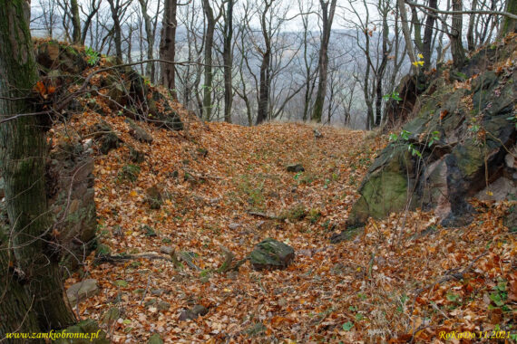 Ruiny zamku Wielisławka