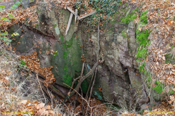 Ruiny zamku Wielisławka