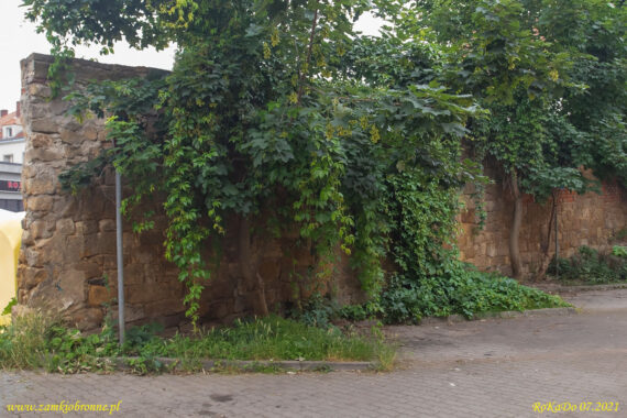 Złotoryja miejskie mury obronne.