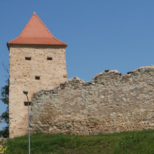 Zamek Rupea