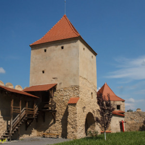 Zamek Rupea