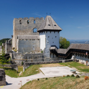 Stary zamek w Celje