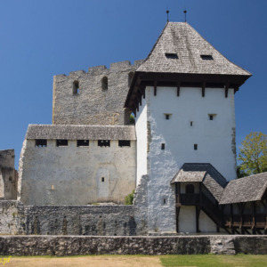 Stary zamek w Celje