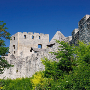 Stary zamek w Celje