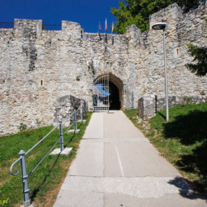 Stary zamek w Celje