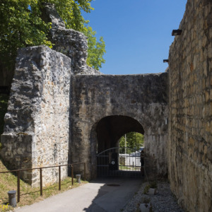 Stary zamek w Celje