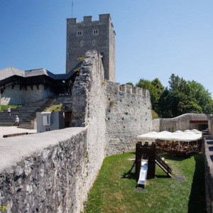 Stary zamek w Celje