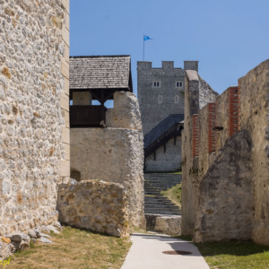 Stary zamek w Celje