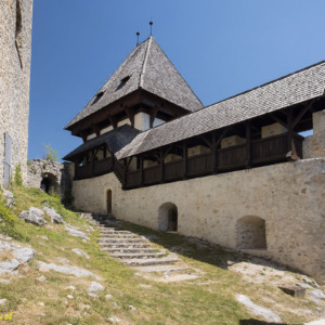 Stary zamek w Celje