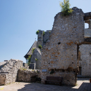Stary zamek w Celje