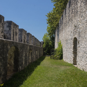 Stary zamek w Celje