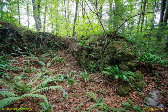 Ruiny zamku Lihtenberk