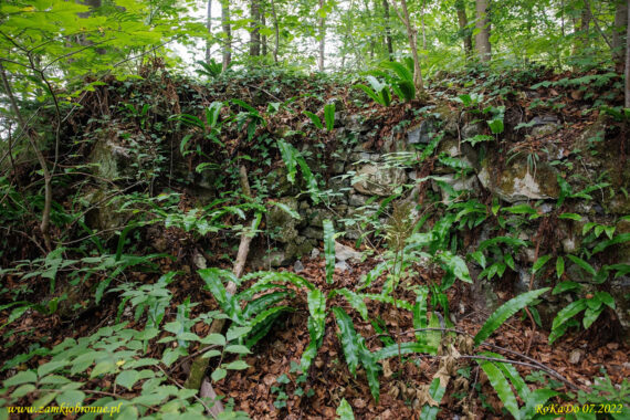 Ruiny zamku Lihtenberk