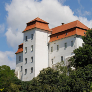 Zamek Lendava